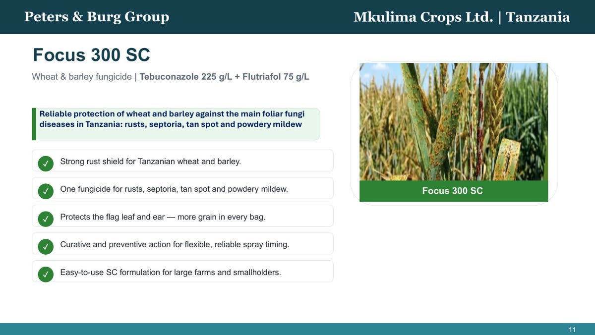 Presentation page 12: Focus 300 SC benefits